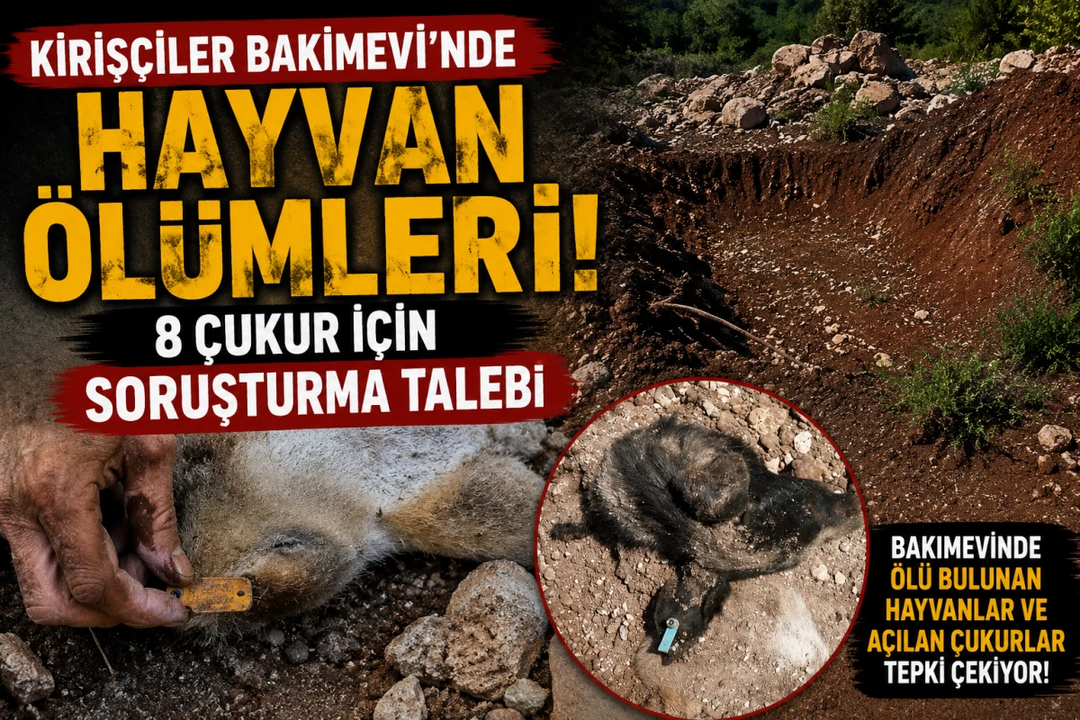 Kiriş&ccedil;iler Bakımevi&rsquo;nde ş&uuml;pheli hayvan &ouml;l&uuml;mleri! 8 &ccedil;ukur i&ccedil;in soruşturma talep edildi