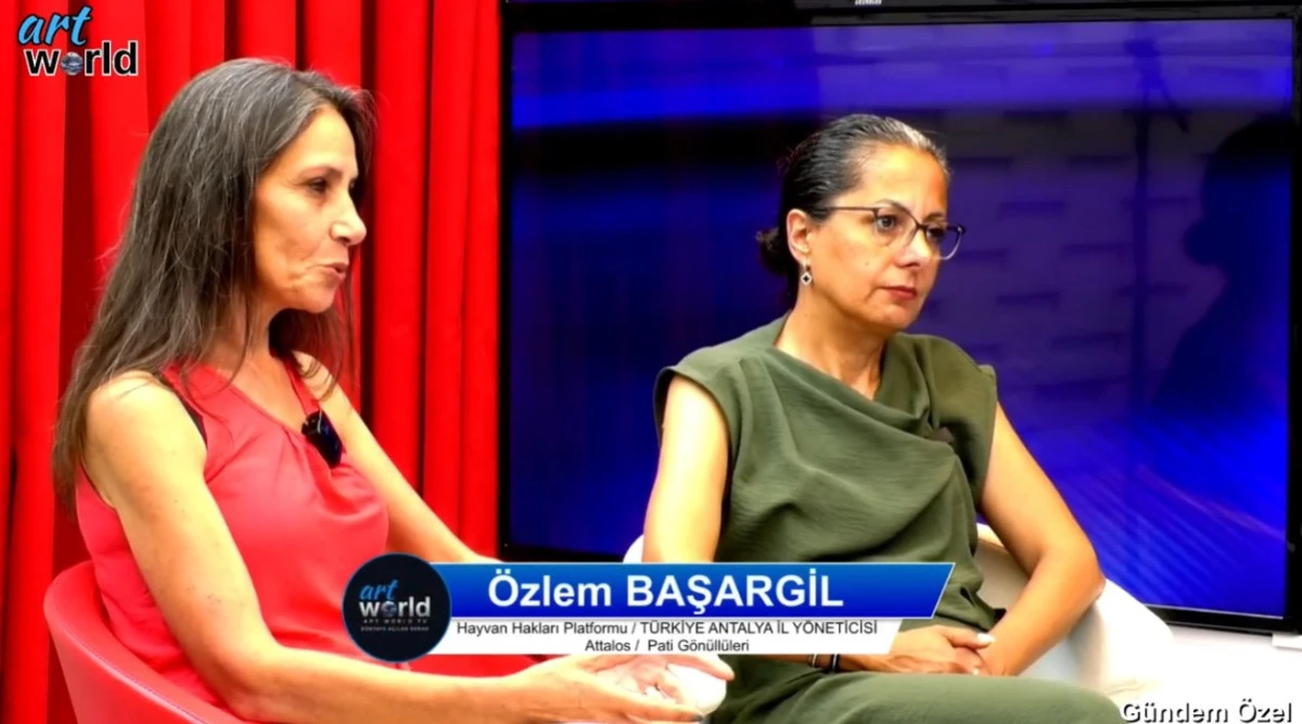 KUŞLAR NEDEN &Ouml;L&Uuml;YOR..!